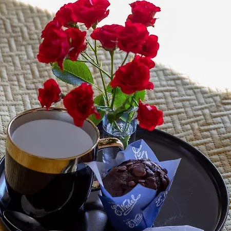 Exclusive Rozana With Ac & Balcony View 1 Km To The By Renters